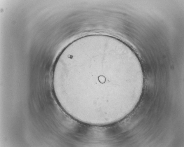 X0000087381514200705041932