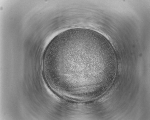 X0000087381515200705041932