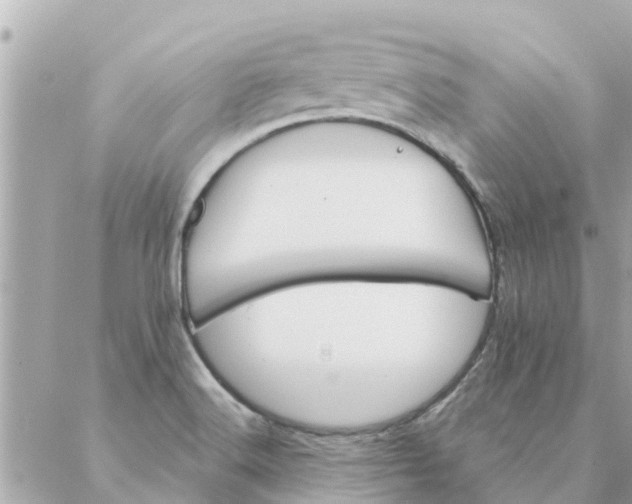 X0000087381516200705041932