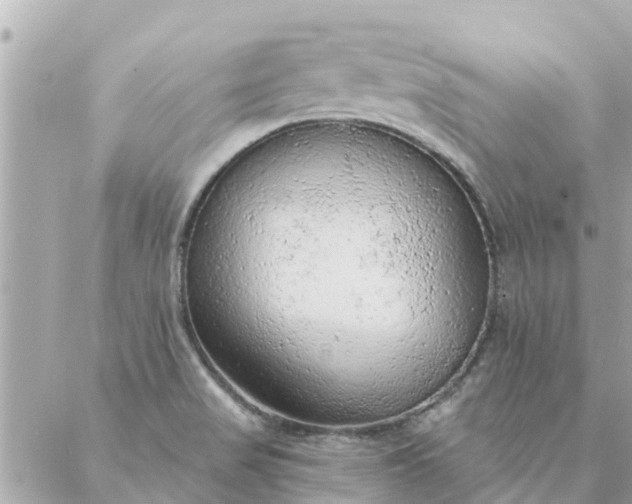 X0000087381517200705041932