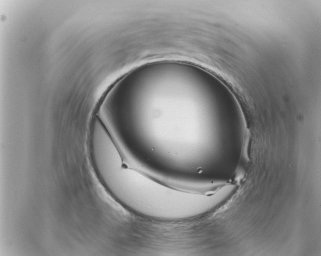 X0000087381518200705041932