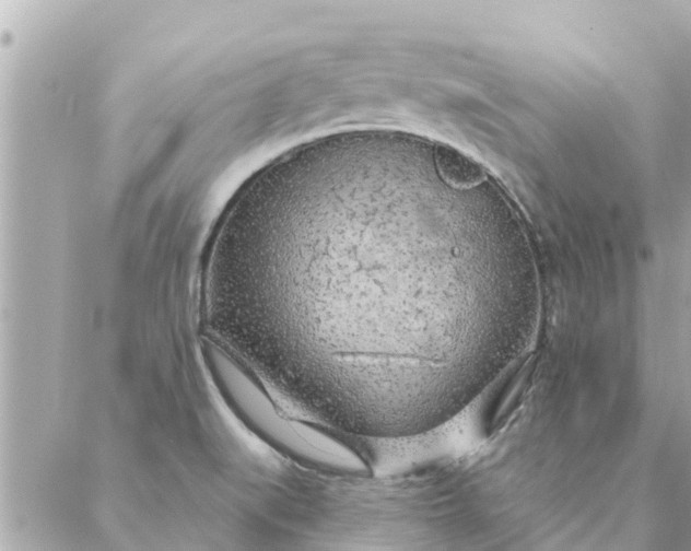 X0000087381519200705041932