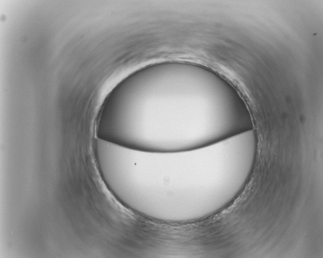 X0000087381520200705041932