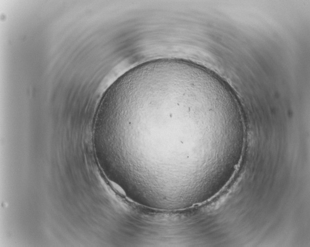 X0000087381521200705041932