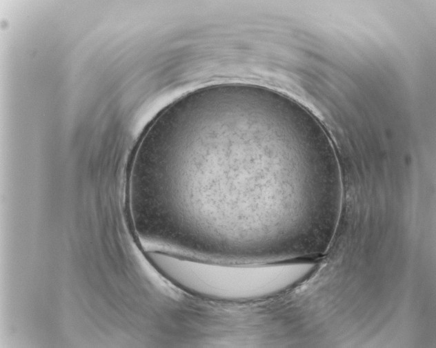 X0000087381523200705041932