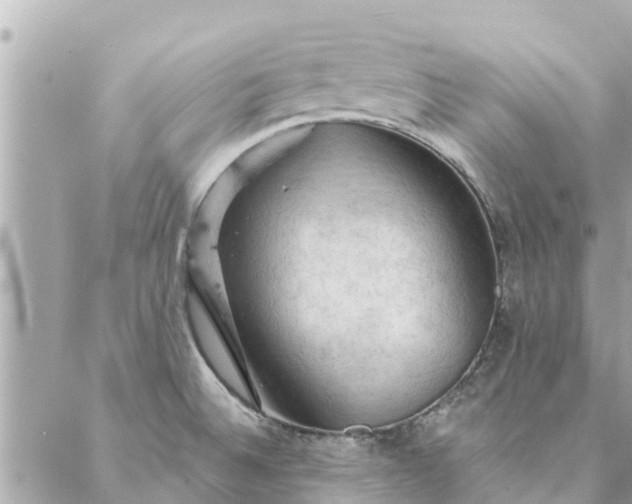 X0000087381524200705041932