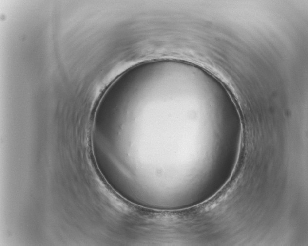 X0000087381525200705041932