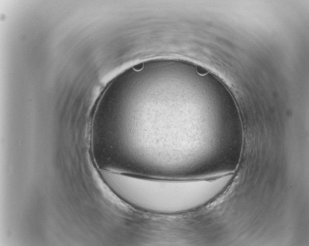 X0000087381526200705041932