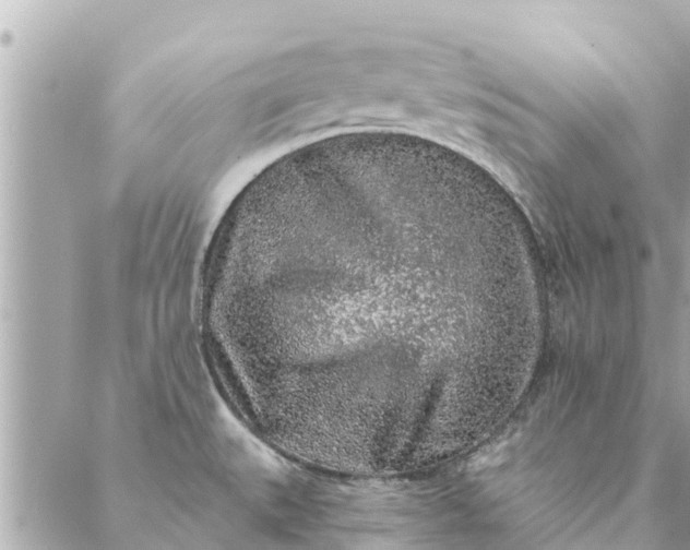 X0000087381527200705041932