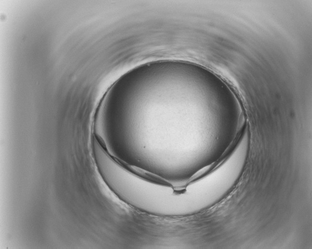 X0000087381528200705041932