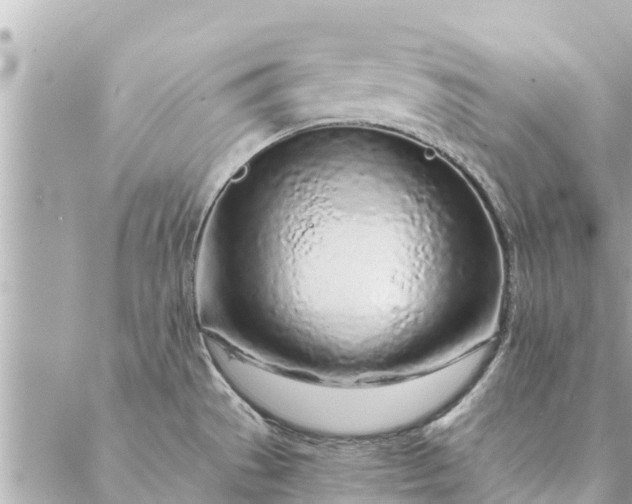 X0000087381529200705041932