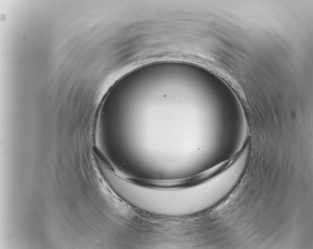 X0000087381530200705041932