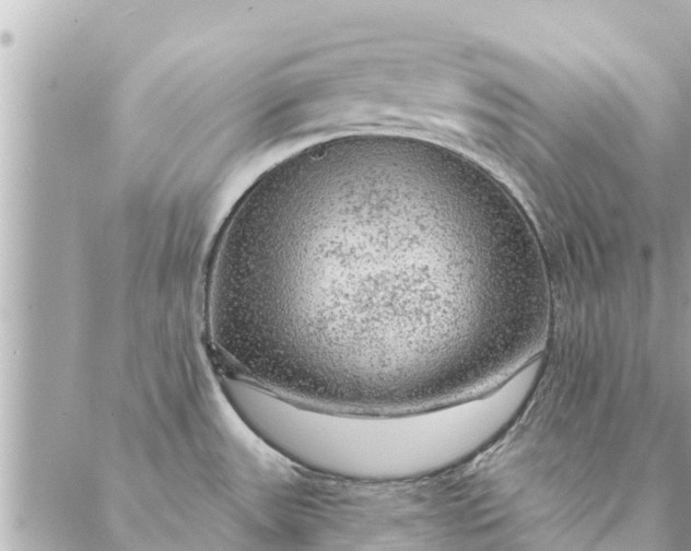 X0000087381531200705041932