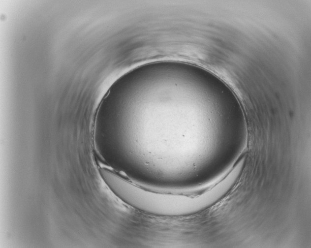 X0000087381532200705041932