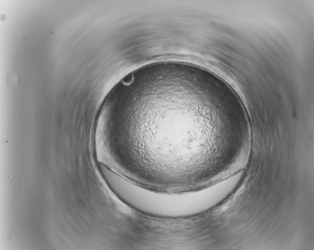 X0000087381533200705041932