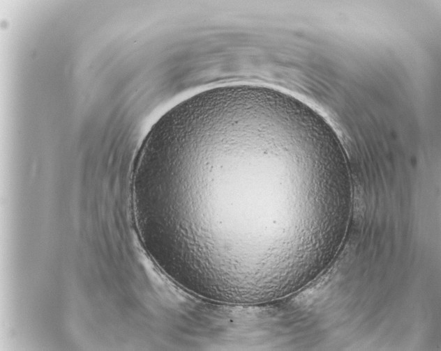 X0000087381534200705041933