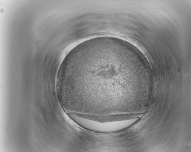 X0000087381535200705041933