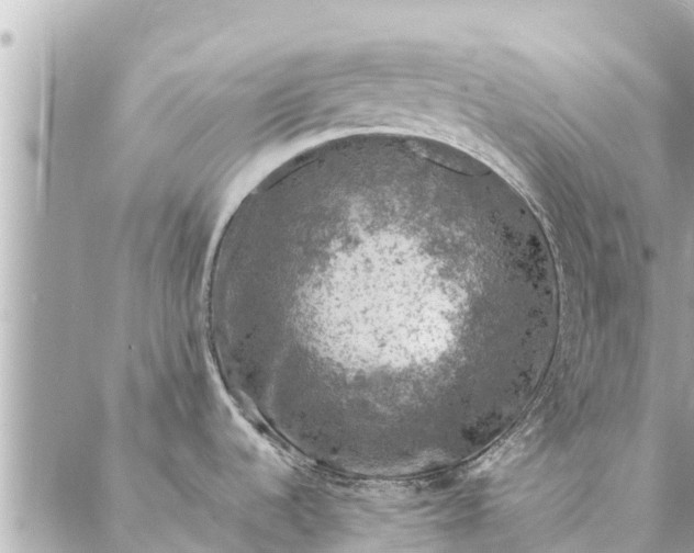 X0000087381536200705041933