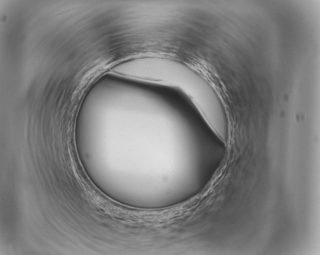 X0000087380001200705111747