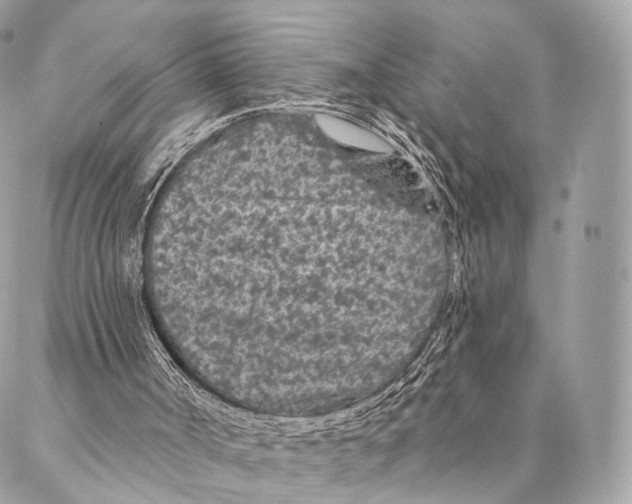 X0000087380002200705111747