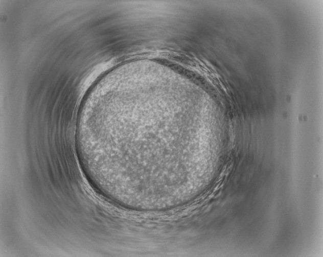 X0000087380003200705111747