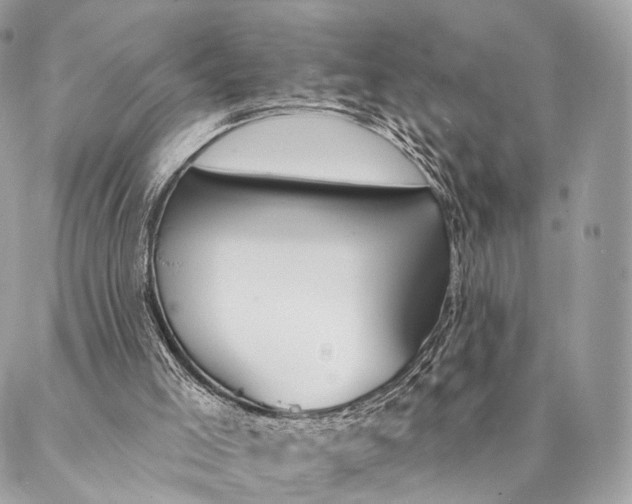 X0000087380005200705111747