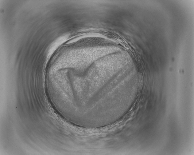 X0000087380006200705111747