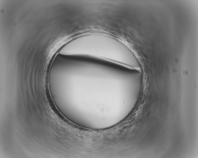 X0000087380007200705111747