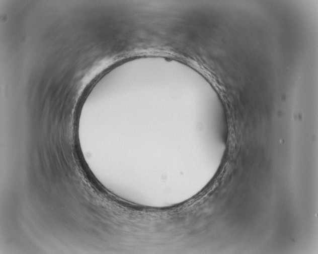 X0000087380008200705111747