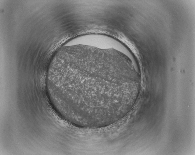 X0000087380009200705111747