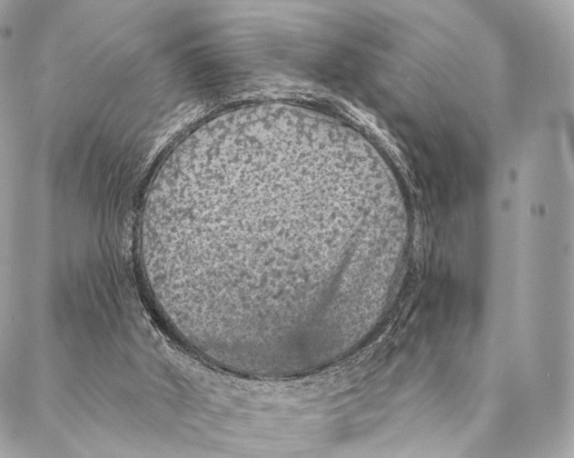 X0000087380010200705111747