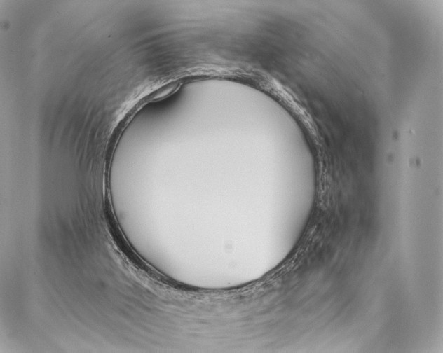 X0000087380011200705111747