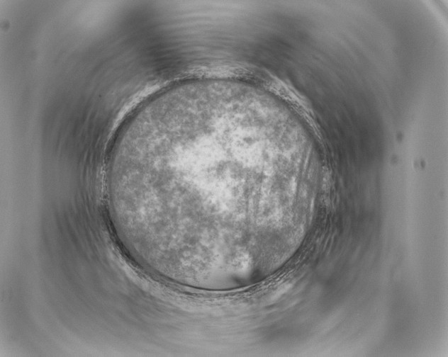 X0000087380012200705111747