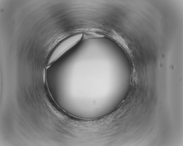 X0000087380013200705111747