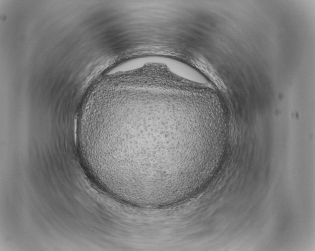 X0000087380014200705111747