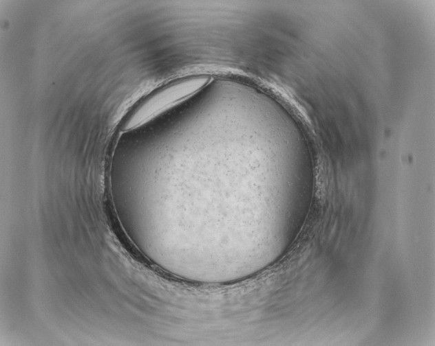 X0000087380015200705111747