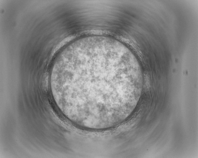 X0000087380016200705111747