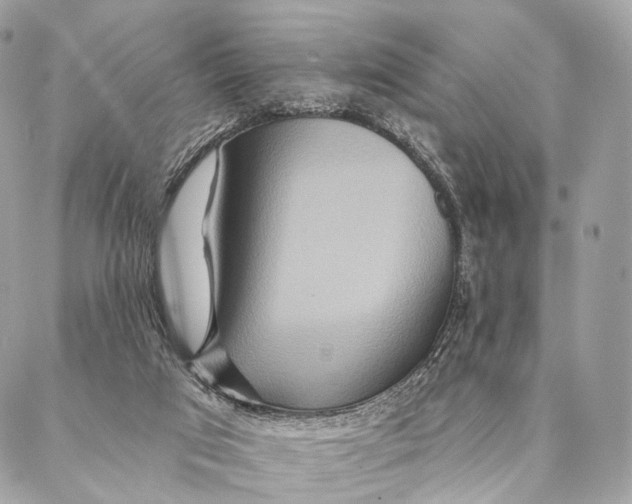 X0000087380017200705111747