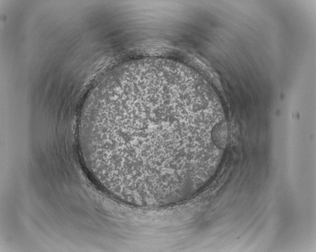 X0000087380018200705111747