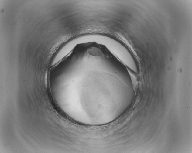 X0000087380019200705111747