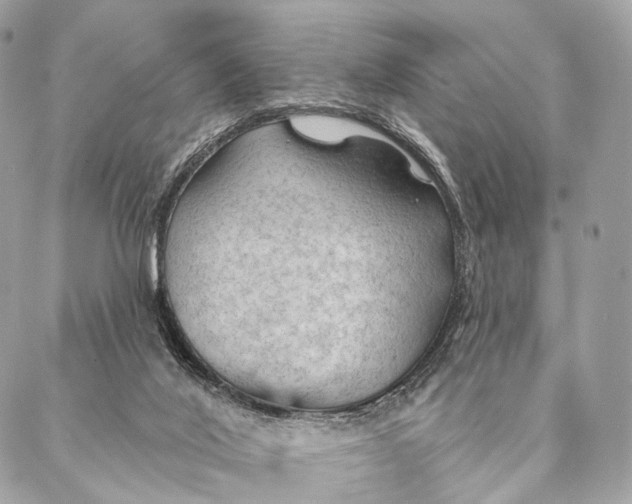 X0000087380020200705111747