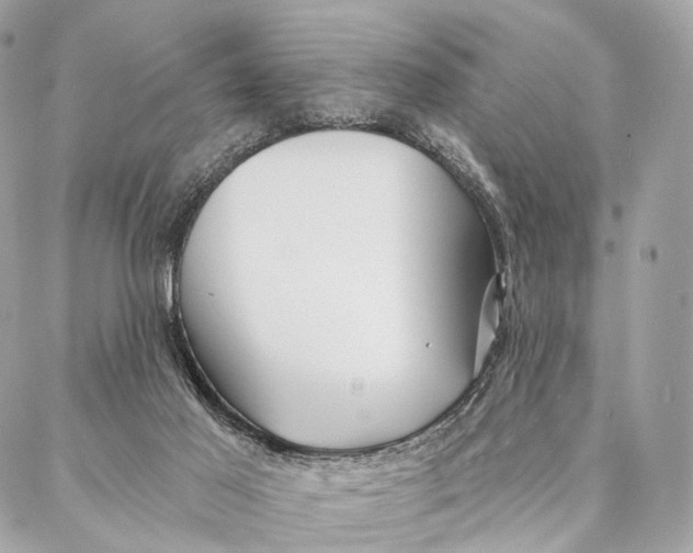 X0000087380021200705111747