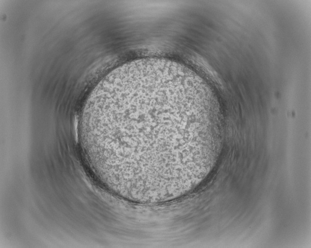 X0000087380022200705111747