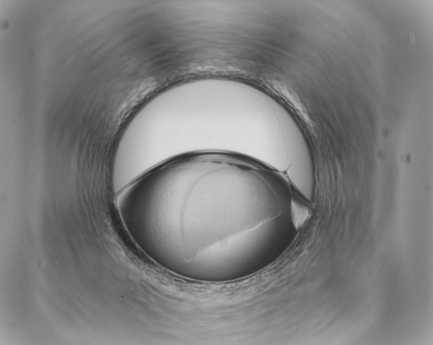 X0000087380023200705111747