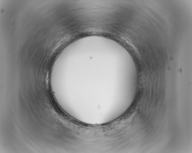 X0000087380024200705111747