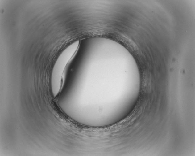 X0000087380025200705111747