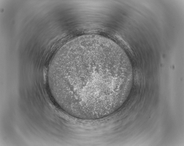 X0000087380026200705111747