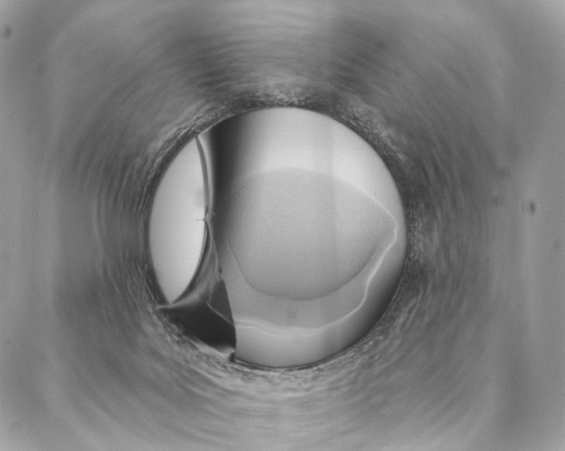 X0000087380027200705111747