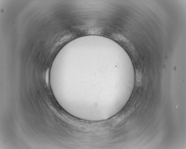 X0000087380028200705111747