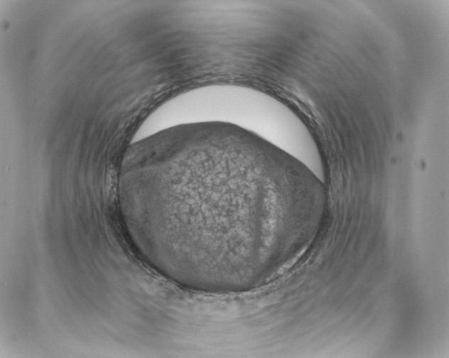 X0000087380029200705111747